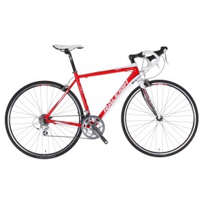 raleigh lite